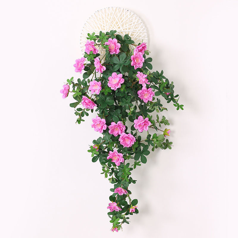 Soucoupe volante blanche, dix milles de fleurs parfumées, violettes.