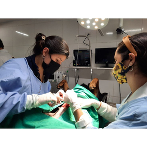 Mới đến đa thông số thú y chăm sóc màn hình vật nuôi phòng khám bệnh viện sử dụng y tế di động bác sĩ thú y động vật bệnh nhân màn hình - Product Image 6