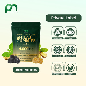 Gummies à l'extrait de résine de Shilajit de l'Himalaya, marque privée OEM, pour l'énergie et le soutien immunitaire des adultes, la mémoire cérébrale - Product Image 5