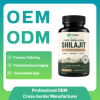 Comprimés minéraux de Shilajit testés en laboratoire, extrait de l'Himalaya, pilules de vitalité, emballage personnalisé OEM accepté