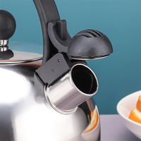 Poêle à eau portable en acier inoxydable, bouilloire à thé fouettée, bouilloire de haute qualité, capacité de 2l 3l, théière à café en acier inoxydable pour la maison