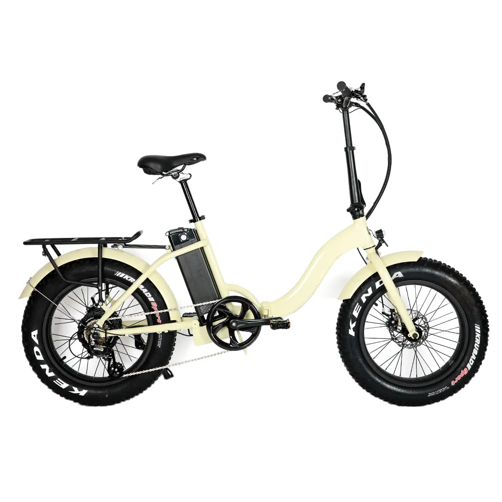 BTN 48V 500W 20'' Inch Drop Shipping Fat Tire Step Thru Women Folding Electric Bike Foldable Electric Bicycle For Adult