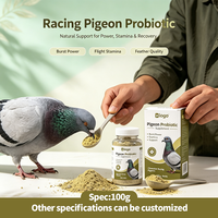 Poudre de performance pour pigeons de course, Nutrition pour la période d'entraînement et de course, Soutien à la circulation sanguine et à la récupération, Graines de chia, 1000g
