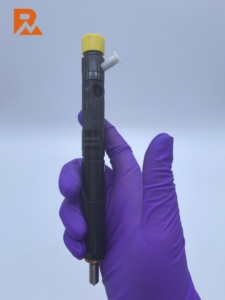 Injecteur common rail EJBR03902D 33800-4X400 pour R03901D/R03902D - Product Image 3