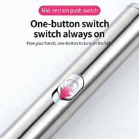 Jouet interactif pour chat en acier inoxydable à motifs multiples, avec interrupteur à lumière infrarouge constante, porte-clés stylo, jouet de stimulation pour chat