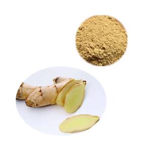 مسحوق خلاصة الزنجبيل عالي الجودة بمسحوق خلاصة جذور الزنجبيل - Product Image 3
