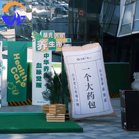 Modèles de sacs à médicaments gonflables Chenghuang, personnalisables avec du texte, accessoires décoratifs pour centres commerciaux, activités de plein air, modèle