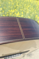 Guitare Friederich de niveau maître fabriquée à la main par Aiersi