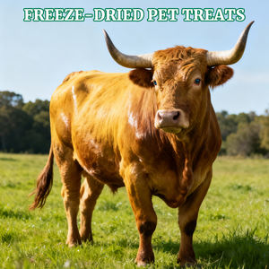 Friandises d'alimentation crues à haute teneur <span class=keywords><strong>en</strong></span> protéines collations pour animaux de compagnie friandises crues lyophilisées <span class=keywords><strong>en</strong></span> <span class=keywords><strong>gros</strong></span> - Product Image 2