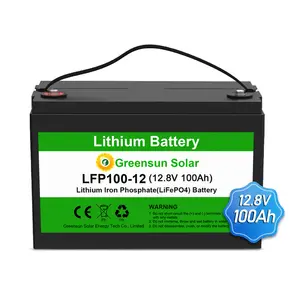 Greensun solar lithium battery 12v 100ah 200ah 12.8v lifepo4 with prismatic battery cell for retail