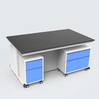 Meuble de laboratoire tout acier établi Trespa Comptoir résistant aux produits chimiques pour la rénovation universitaire Atelier de laboratoire Décoration