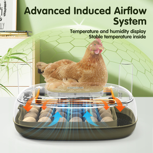 WONEGG Animal Pequeño Comercial Pollo Automático DLM 24 <span class=keywords><strong>Huevo</strong></span> Incubadora Fabricantes Máquina - Product Image 6