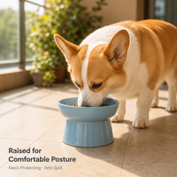 Gamelle surélevée en céramique pour chiens et chats – Motif uni, étanche et écologique