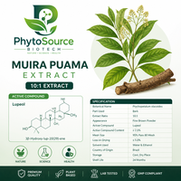 Poudre d'extrait de Muira Puama (Ptychopetalum Olacoides) - Extrait végétal de qualité alimentaire pour complément alimentaire pour la santé masculine en flacon