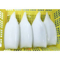 Tubes de calmar congelés Tubes de calamars Tubes de calmar IQF Tubes de calmar U5 U7 U10 Dosidicus Gigas Tubes de calmar