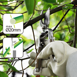 Sécateur de jardin VERTAK, lame en acier forgé, durable, <span class=keywords><strong>avec</strong></span> <span class=keywords><strong>manche</strong></span> en bois, pour la taille des plantes et des fleurs - Product Image 4
