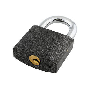 Cadenas en fonte de fer de haute qualité avec protection de peinture contre le vol cadenas en fer solide - Product Image 6
