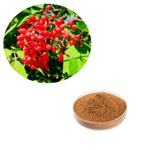 Vlierbessen Fruit Poeder Biologische Vlierbessen Extract Poeder Vlierbessen Concentraat - Product Image 2