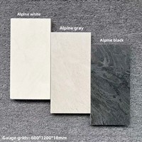 Carreaux de céramique pour mur rideau PX Modèle 0067 Alpine 600x1200mm Antidérapants Faible absorption d'eau Résistants à l'usure Texture granit Mat
