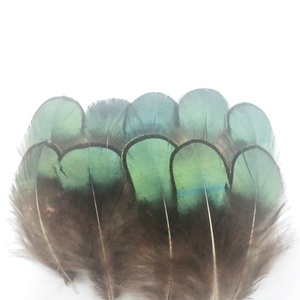 Plumes de faisan lavées en gros pour la fabrication artisanale, matériaux de décoration pour la pêche à la mouche, les coiffes de carnaval, les corsages et les chapeaux - Product Image 5