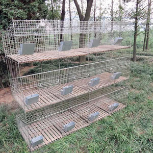 Coelho gaiolas/gaiola lapin/coelho agricultura equipamentos - Product Image 2