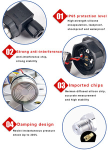 A-10 4-20mA Hesman Sensor Absolute - Product Image 5