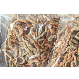 เหยื่อตกปลาแบบแห้งคุณภาพพรีเมียม ทำจากหนอนทะเล สำหรับตกปลาในน้ำเค็ม เหยื่อแห้งที่มีประสิทธิภาพ - Product Image 1