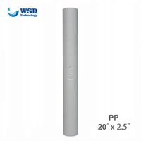 Purification de l'eau de cartouche filtrante d'eau inverse de sédiment de 20 pouces PP