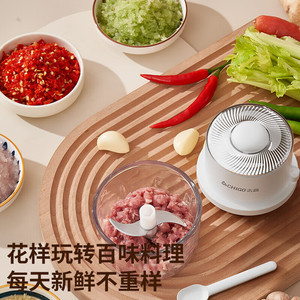 Trituradora de ajo eléctrica Chigo de 350 ml, picadora de carne portátil con un solo botón para comida de bebé - Product Image 2