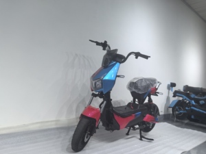 Scooter <span class=keywords><strong>électrique</strong></span> de moto de 48V pour le <span class=keywords><strong>vélo</strong></span> de rue d'adultes avec des supports de moteur de moyeu arrière pesant la batterie intégrée de <span class=keywords><strong>150</strong></span> <span class=keywords><strong>kg</strong></span> - Product Image 6