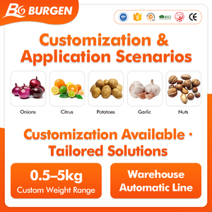 Tùy chỉnh thiết kế có thể điều chỉnh tốc độ táo, lê, đào, xuân đào, chanh lưới túi máy đóng gói - Product Image 2