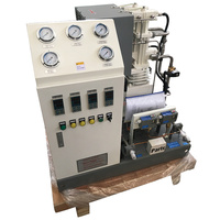 Compresor de Pistón de Gas Natural CNG Completamente Libre de Aceite, Bajo Costo de Mantenimiento, Baja Tasa de Fallos, Larga Vida Útil