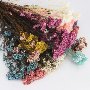 Flor de arroz artificial de alta calidad, flor de arroz <span class=keywords><strong>real</strong></span> conservada, China - Product Image 4