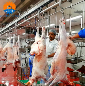 Ligne d'abattage de moutons halal clé en main, solution complète pour l'abattage de chèvres, équipement de transformation d'abattoir, machinerie d'abattage automatique - Product Image 5
