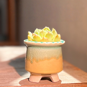 Terracotta <b>Ceramic</b> <b>Pot</b> Succulent Planter Drainage Hole Glazed Finish Eco-Friendly Durable Breathable Water Home Garden - Product Image 2