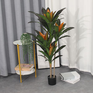 Alta calidad JWS3429 interior decorativo Artificial Dracaena y plantas de yuca China al por mayor precio barato - Product Image 4