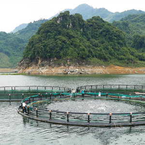 Piège flottant circulaire en HDPE à prix compétitif pour l'aquaculture marine, diamètre 15-20M, fabriqué au Vietnam MAVINEX - Product Image 6