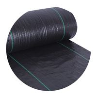 Nouveau tapis anti-corrosion noir en PP extrudé à faible coût pour le contrôle des adventices, protection environnementale, durée de vie 3-5 ans, agriculture, Shandong LV