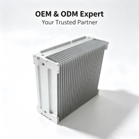 Dissipateur thermique en aluminium extrudé usiné CNC professionnel pour le refroidissement des processeurs de serveur et des infrastructures de télécommunications