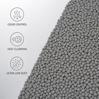 Sable pour chat en bentonite zéro pollution, charbon actif, formule écologique, sans poussière, forte absorption, produit d'hygiène pour animaux de compagnie