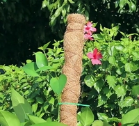 Varilla de tótem de fibra de coco extensible para plantas de escalada, palo de palma de coco para jardinería, enredaderas de interior, disponible