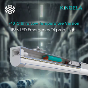 Éclairage LED Tri-proof d'urgence pour chambre froide industrielle, résistant à <span class=keywords><strong>la</strong></span> corrosion et à l'eau, pour températures négatives jusqu'à -40 degrés, alimentation linéaire pour tubes. - Product Image 1