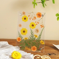 Cadre photo transparent en acrylique pour peinture artistique, fleurs séchées, cristal, certificat, affiche – Support de table DIY