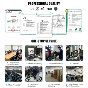 Bicicleta Plegable OEM al por Mayor de 20 Pulgadas, 7 Velocidades, Neumático Ancho de Aluminio, Bicicleta Eléctrica con Cesta Delantera y Portaequipajes Trasero, Entrega Electrónica KS9 de 20 Pulgadas Plegable - Product Image 4