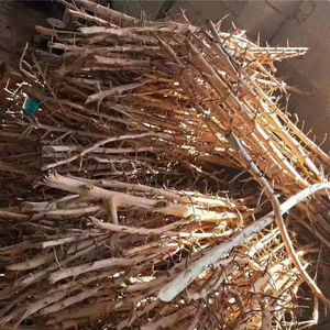 <span class=keywords><strong>Thailand</strong></span> Tak Xi Wortels Drift Hout <span class=keywords><strong>Aquarium</strong></span> Gewei Tak Hout Voor Decoratieve Voor Fish Tank - Product Image 2