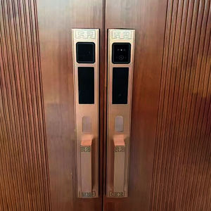 Porte de <span class=keywords><strong>villa</strong></span> de luxe dorée serrure de porte antivol double porte reconnaissance faciale téléphone portable surveillance à distance serrures de porte intelligentes - Product Image 2