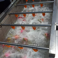 Hoge Kwaliteit Groente En Fruit Wasmachine Commerciële Aardappel Tomaat Wasmachine