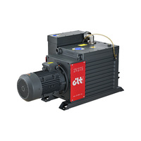 DLT.2V275 Bomba de Vacío de Paletas Rotativas de Dos Etapas Sellada con Aceite, Personalizada para Uso Industrial, 255m³/h, 10HP, Motor Trifásico ISO63/ISO40