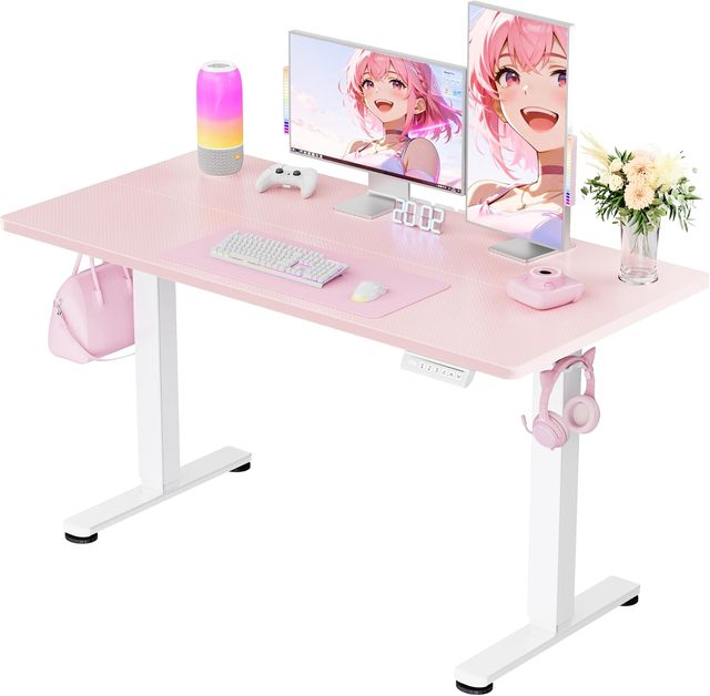 Custom Color Single Motor Office Electric Adjustable Height Tables Standing Computer Desk