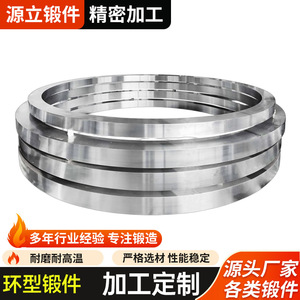 Forges de bagues en acier Gentachi, taille max. 4000 mm, forgées à chaud et usinées pour accessoires de turbines éoliennes - Product Image 5
